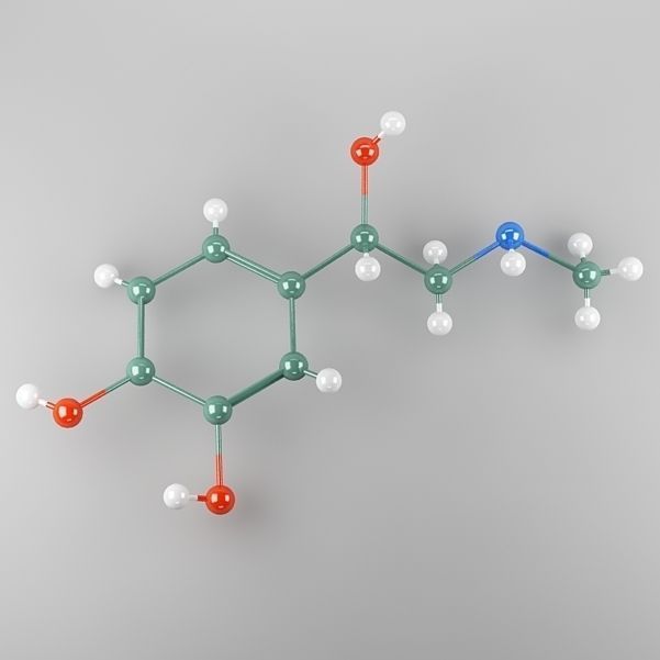Molecule Adrenaline 3D model_7