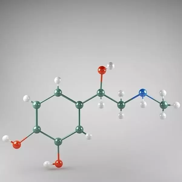 Molecule Adrenaline 3D model_0