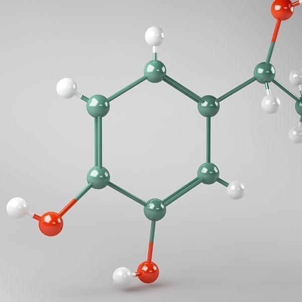 Molecule Adrenaline 3D model_2