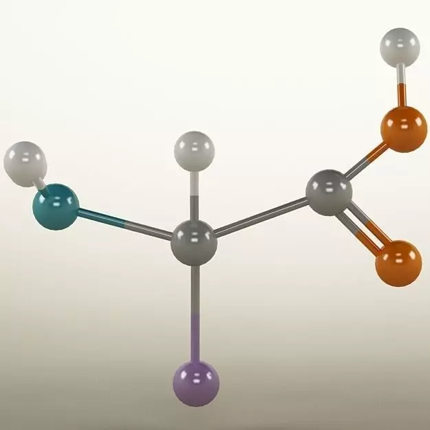 Molecule Amino Acid 3D model