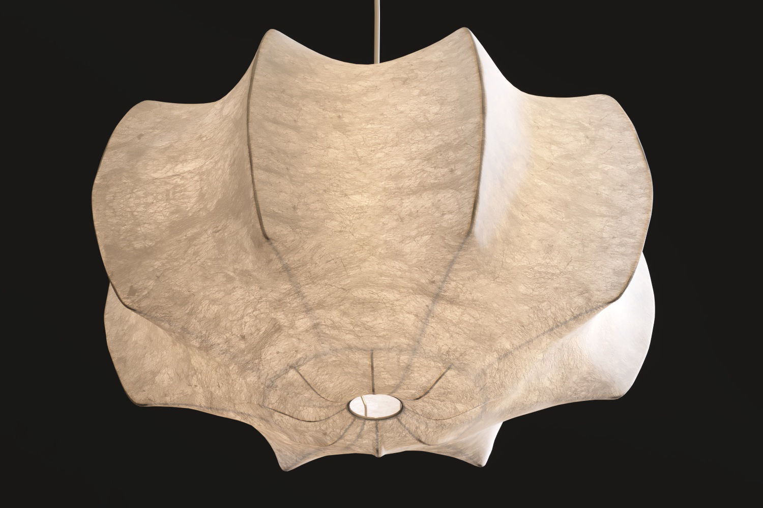 Flos Viscontea 3D model_7