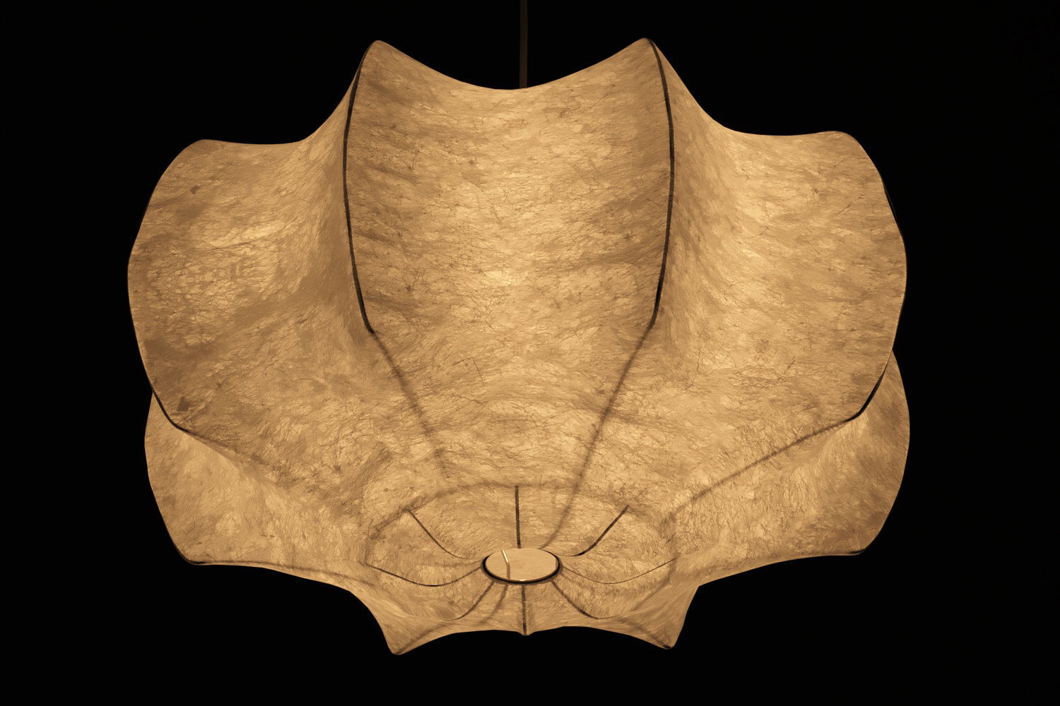 Flos Viscontea 3D model_8