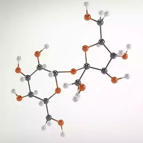 Molecule Sucrose 3D model