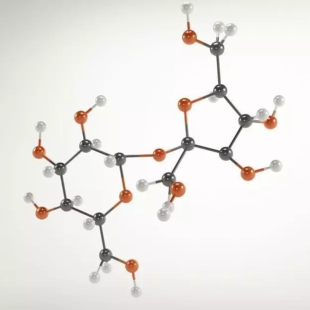 Molecule Sucrose 3D model