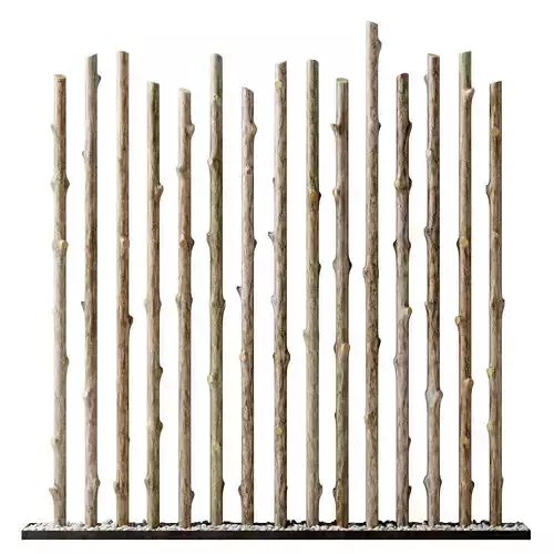 Branch thick decor fundament n1