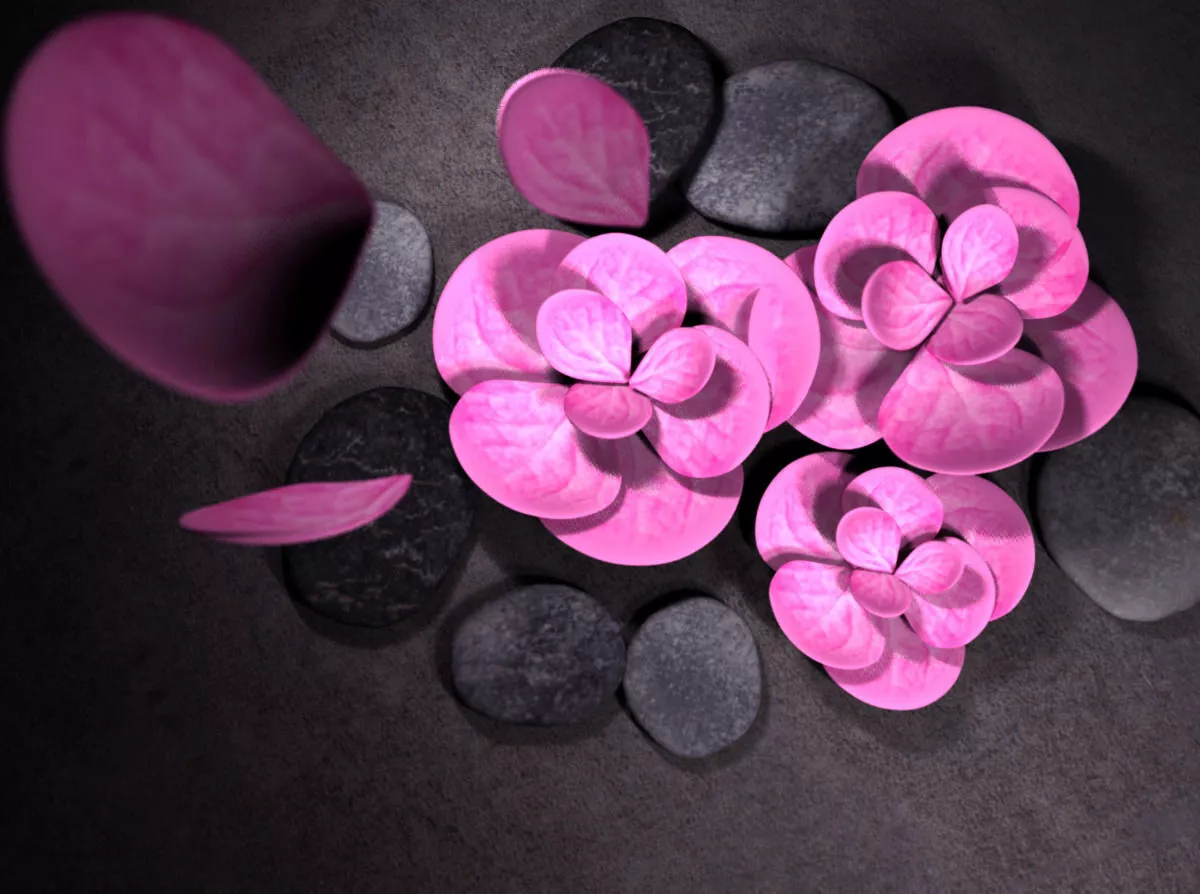 flower and stone Free 3D model