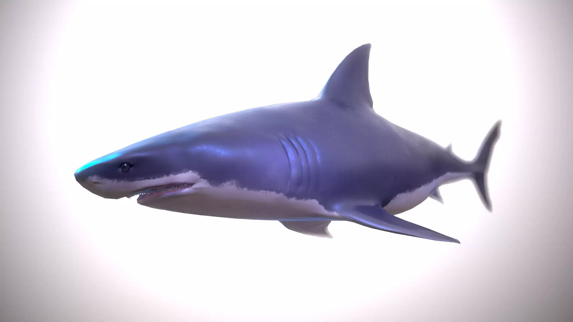 Great white shark Low-poly 3D model_0