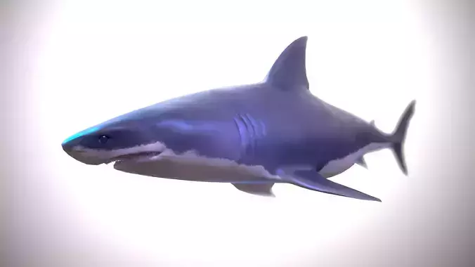 Great white shark