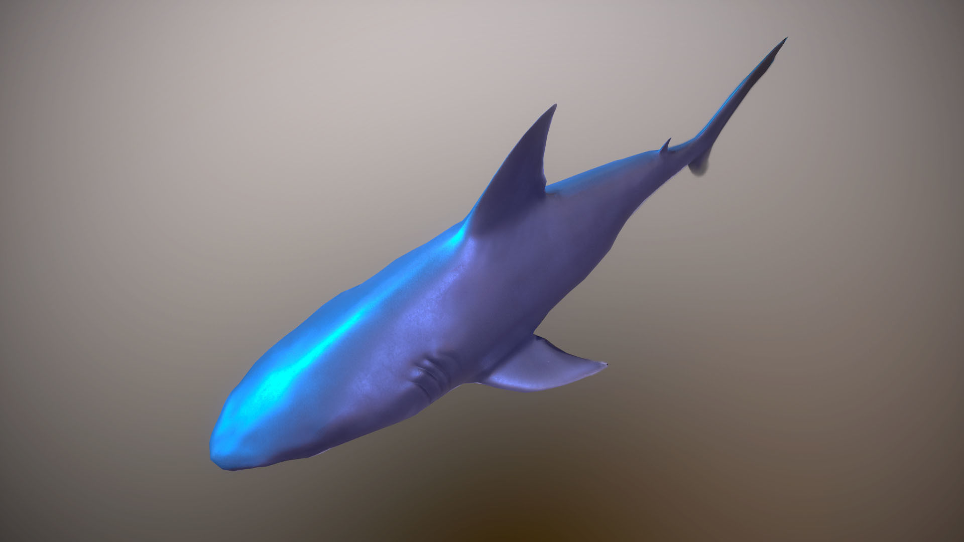 Great white shark Low-poly 3D model_6