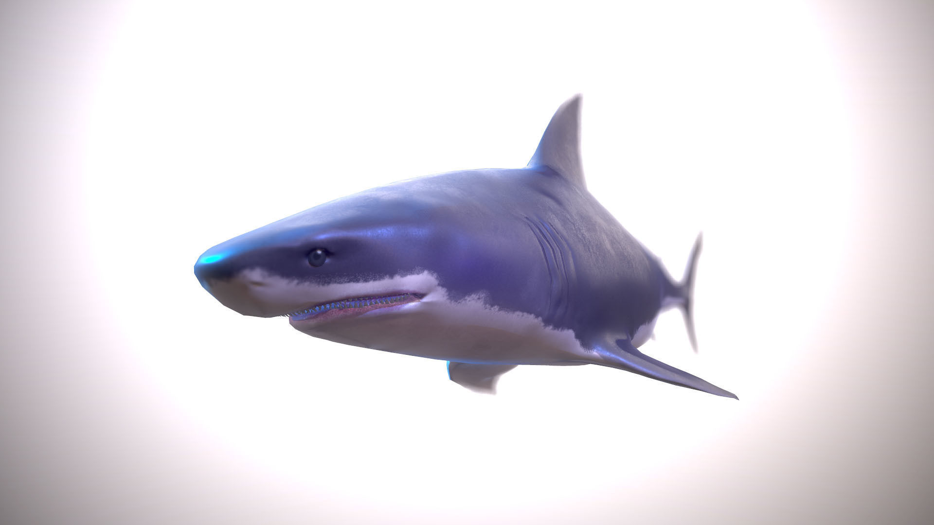 Great white shark Low-poly 3D model_2