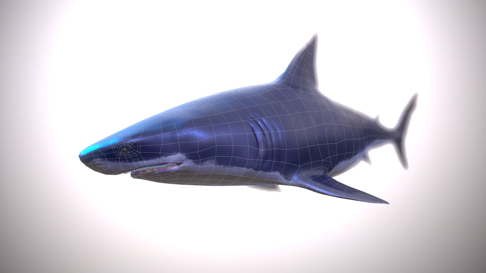 Great white shark Low-poly 3D model_3