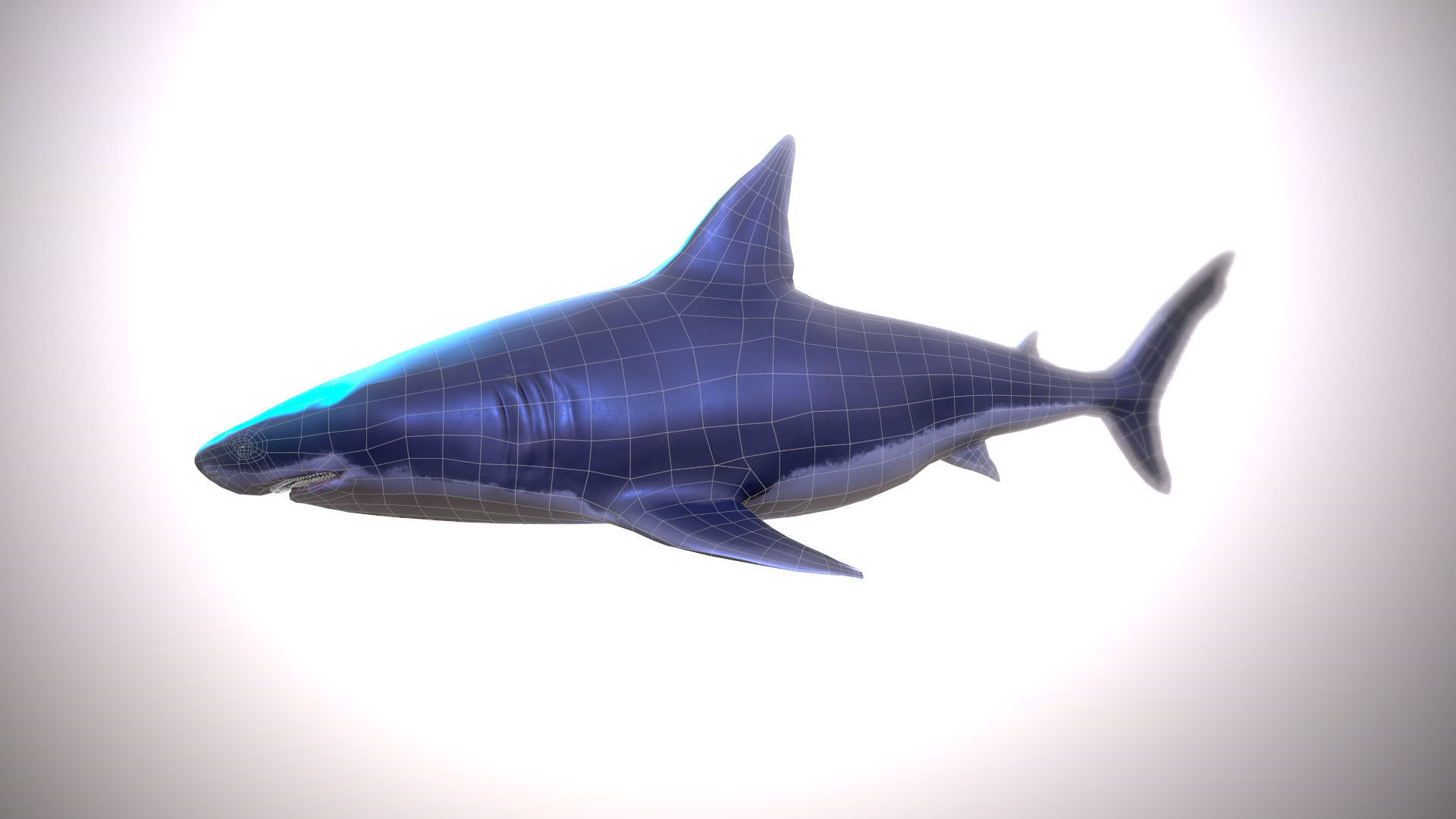 Great white shark Low-poly 3D model_5