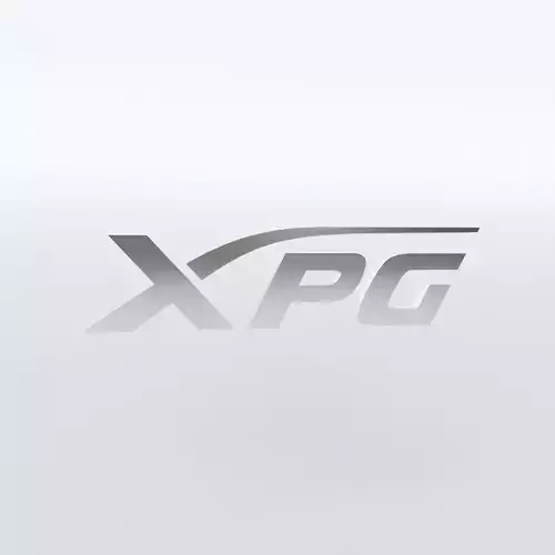 XPG Logo v1 008