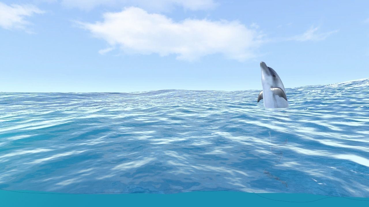 Happy dolphins - animated 3D model_2