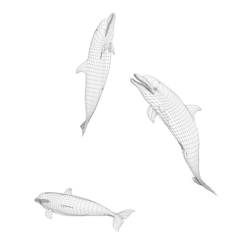 Happy dolphins - animated 3D model_5