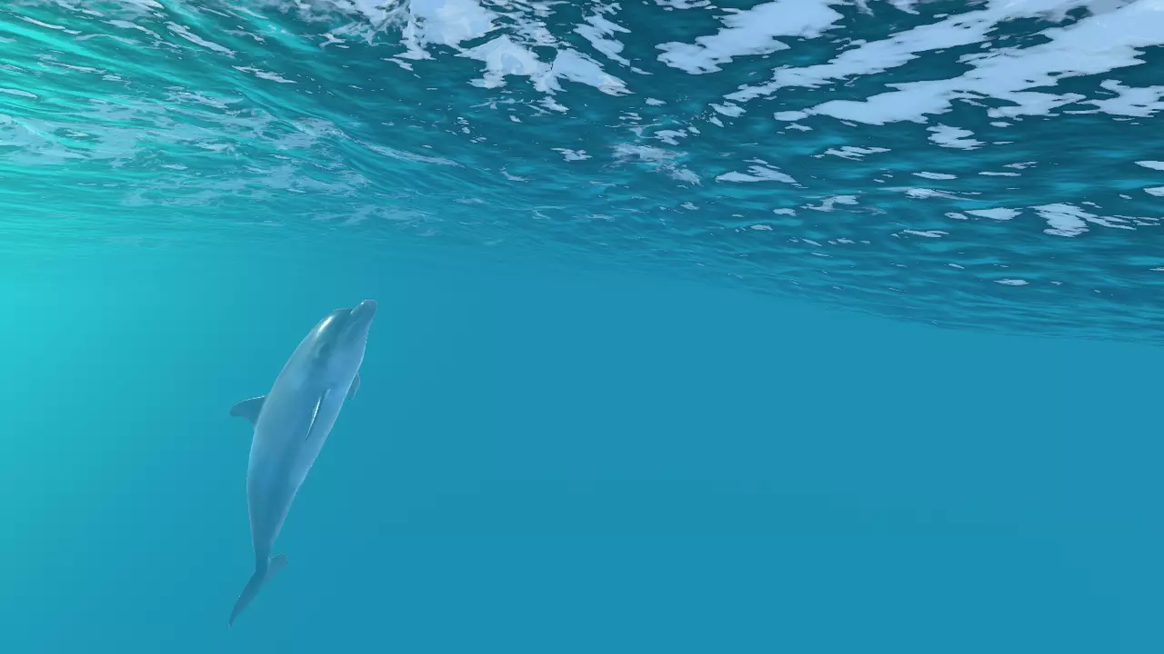 Happy dolphins - animated 3D model_0