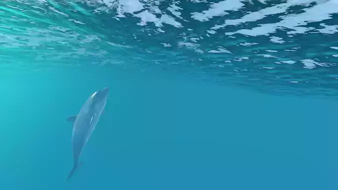 Happy dolphins - animated 3D model