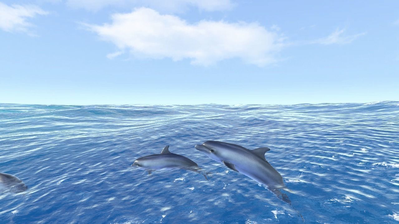 Happy dolphins - animated 3D model_4