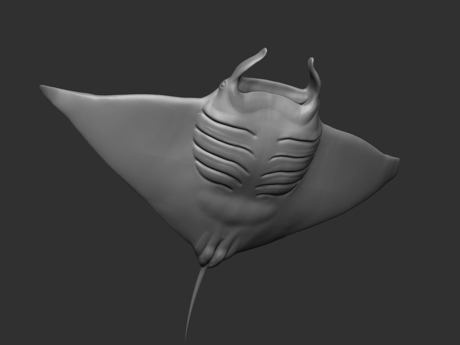Manta ray 3D print model_1