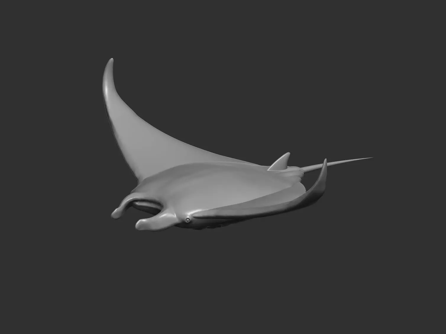 Manta ray 3D print model_0