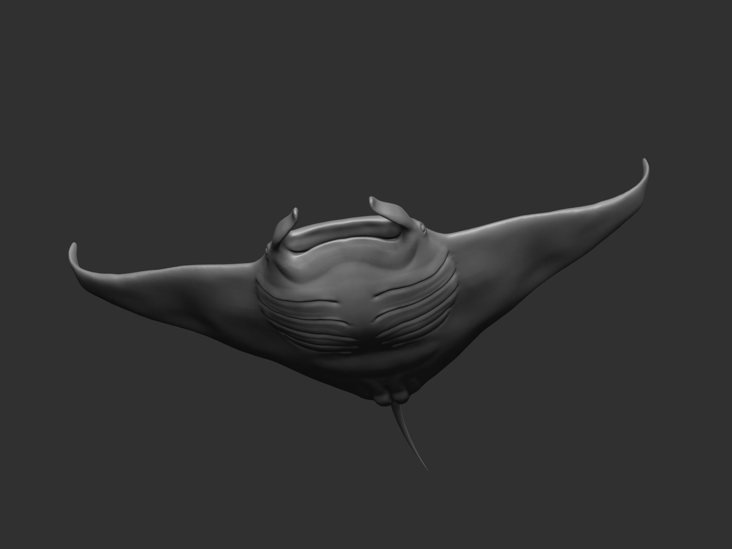 Manta ray 3D print model_2