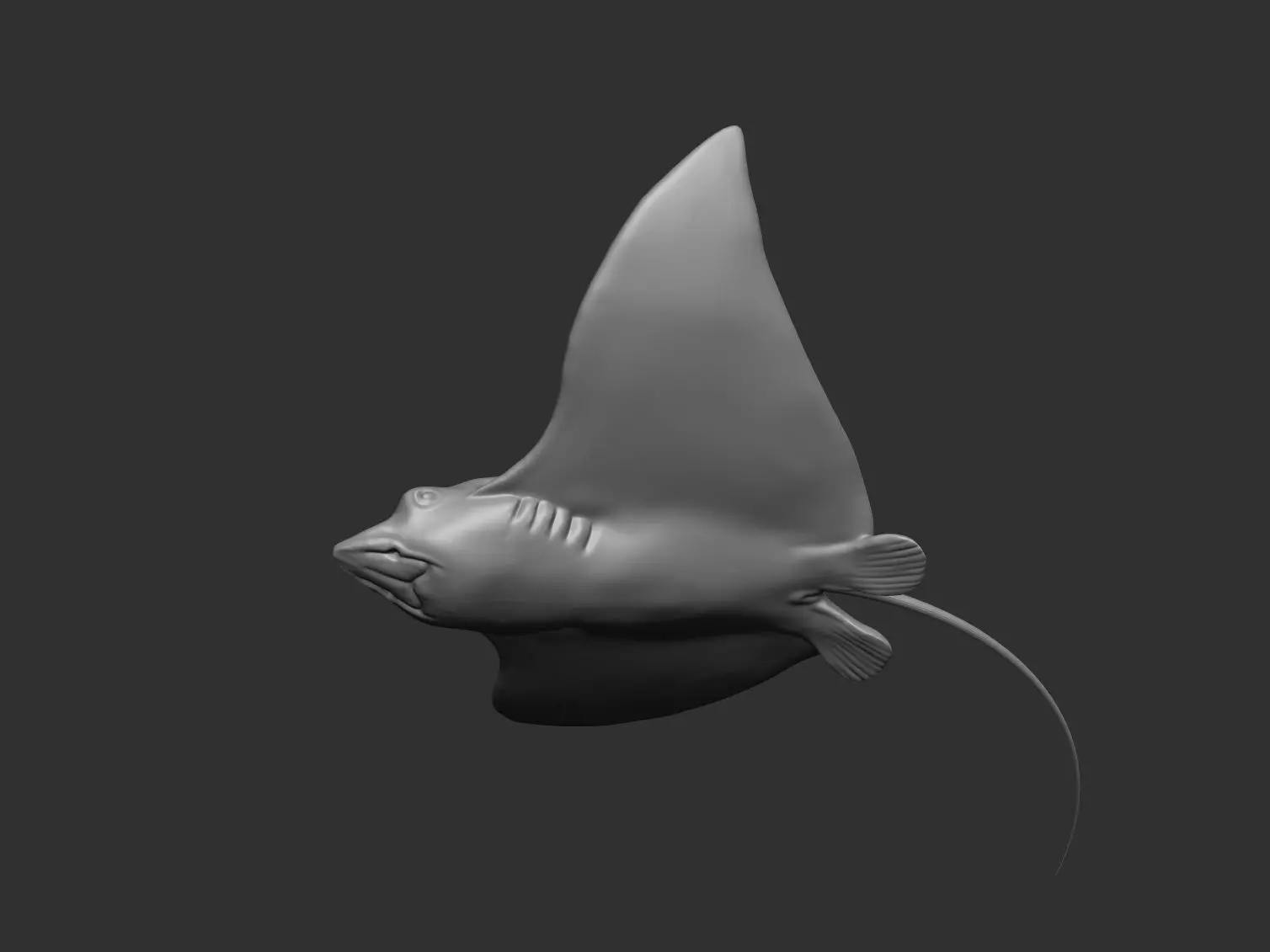 SPOTTED EAGLE RAY 3D print model