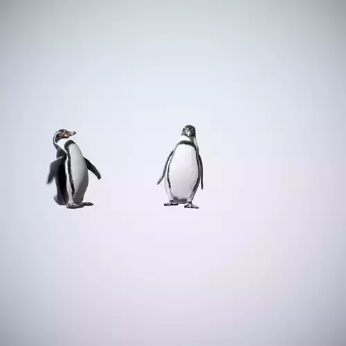 Happy Penguins - Animated 3D model