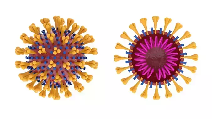 Coronavirus