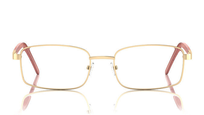 Eyeglasses for Men and Women 3D print model