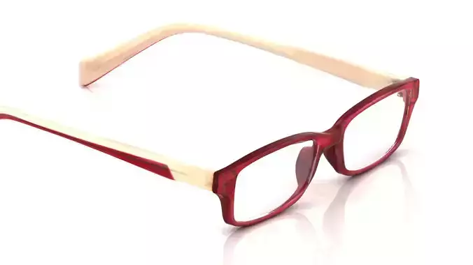 Eyeglasses for Men and Women 3D print model