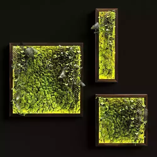 Vertical garden Moss modules 3 3D model