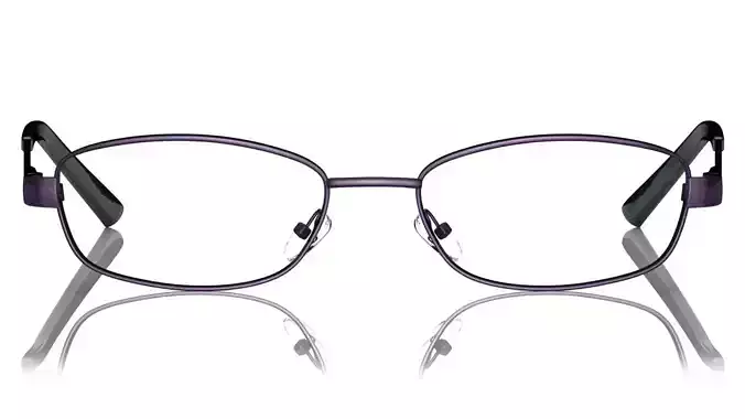 Eyeglasses for Men and Women 3D print model