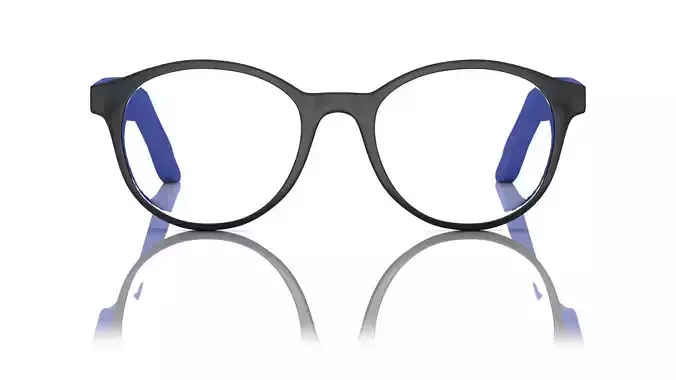 Eyeglasses for Men and Women 3D print model