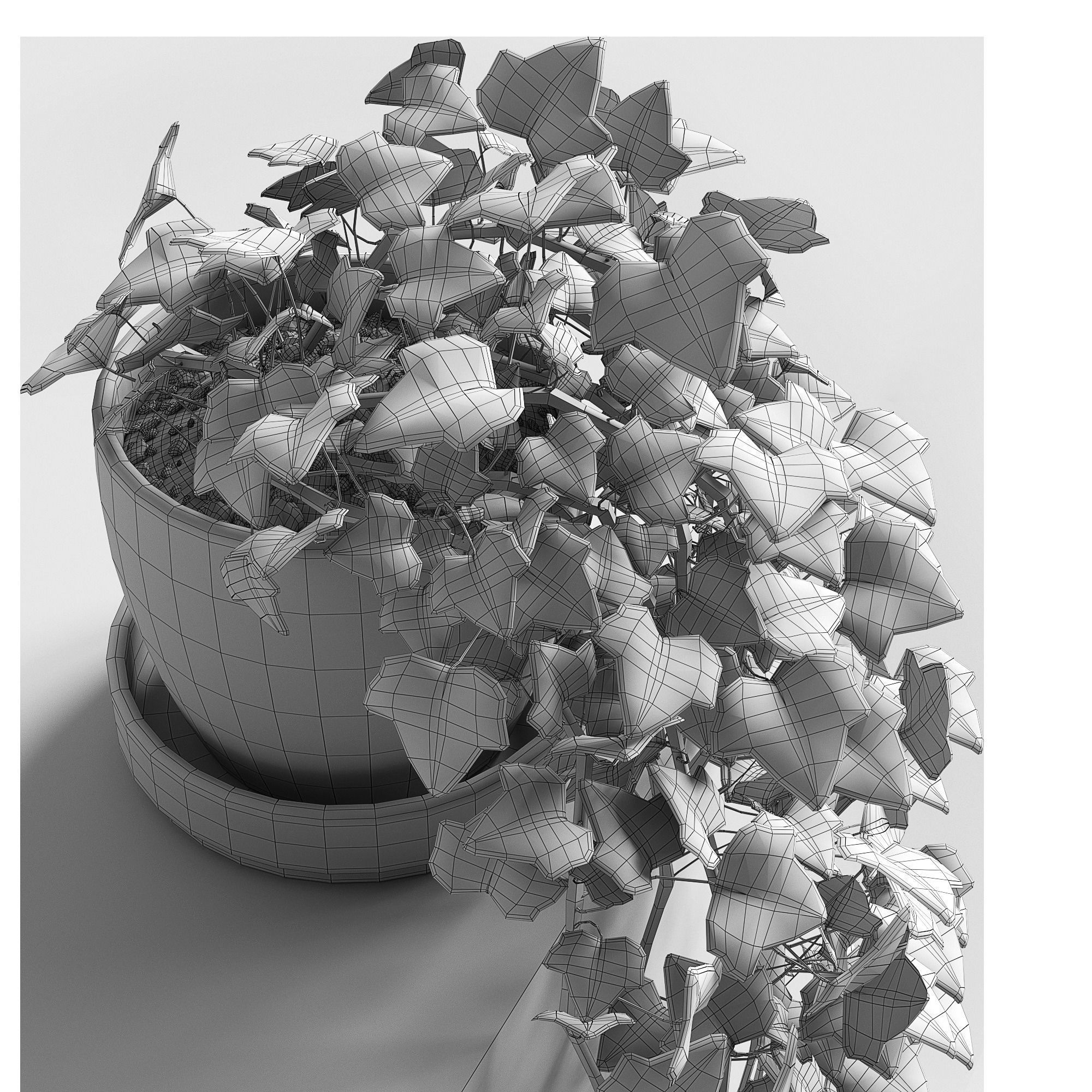 Hedera Helix wonder 3D model_4