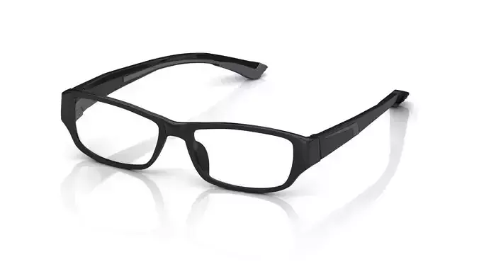 Eyeglasses for Men and Women 3D print model