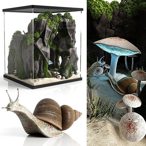 Snail house 3D model