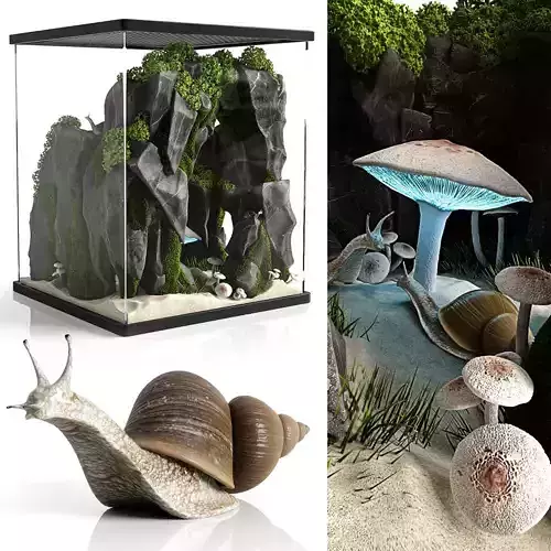 Snail house 3D model