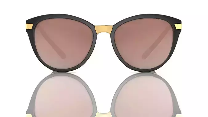 Eyeglasses for Men and Women 3D print model