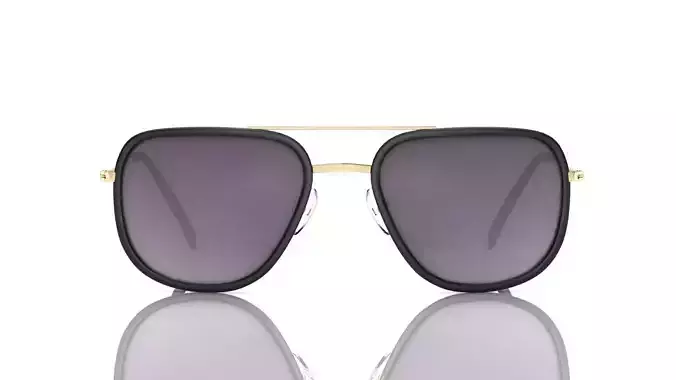 Eyeglasses for Men and Women 3D print model