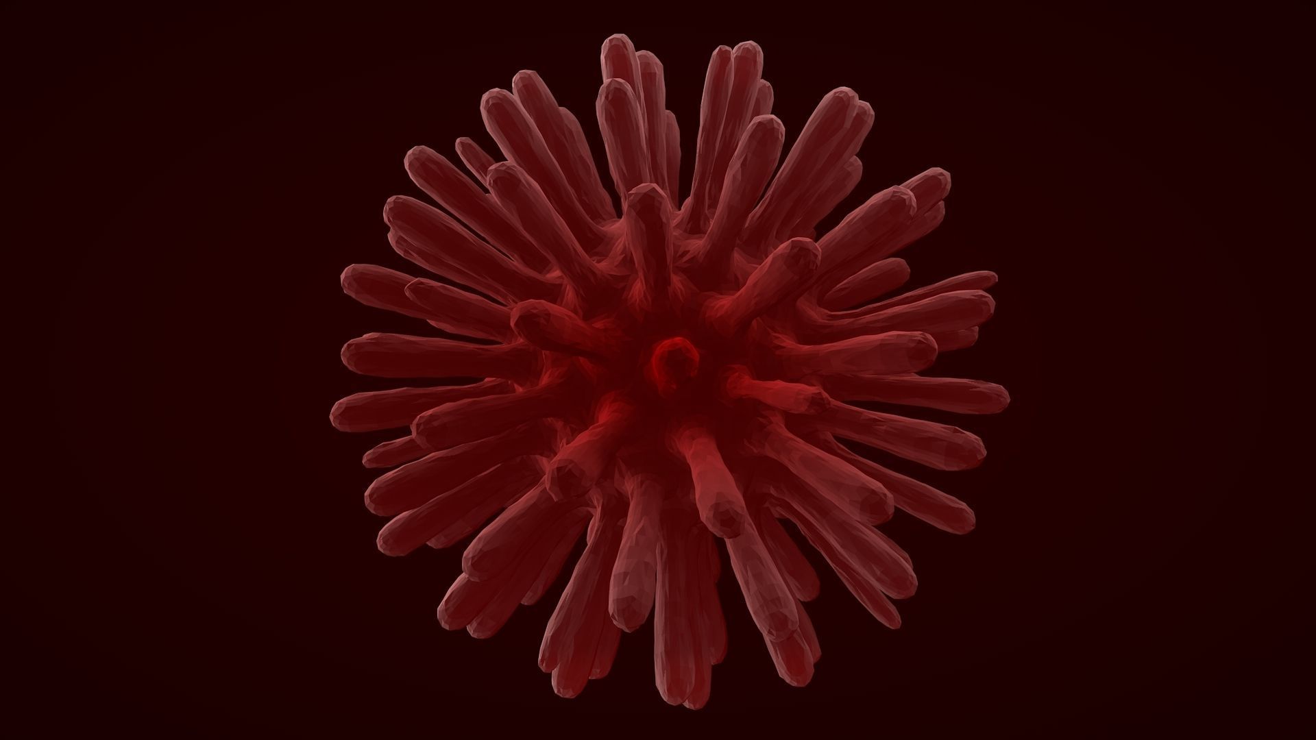 Virus 2 blood cell 3D model_5