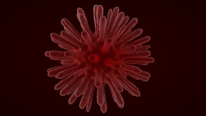 Virus 2 blood cell 3D model