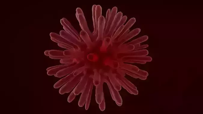 Virus 2 blood cell 3D model