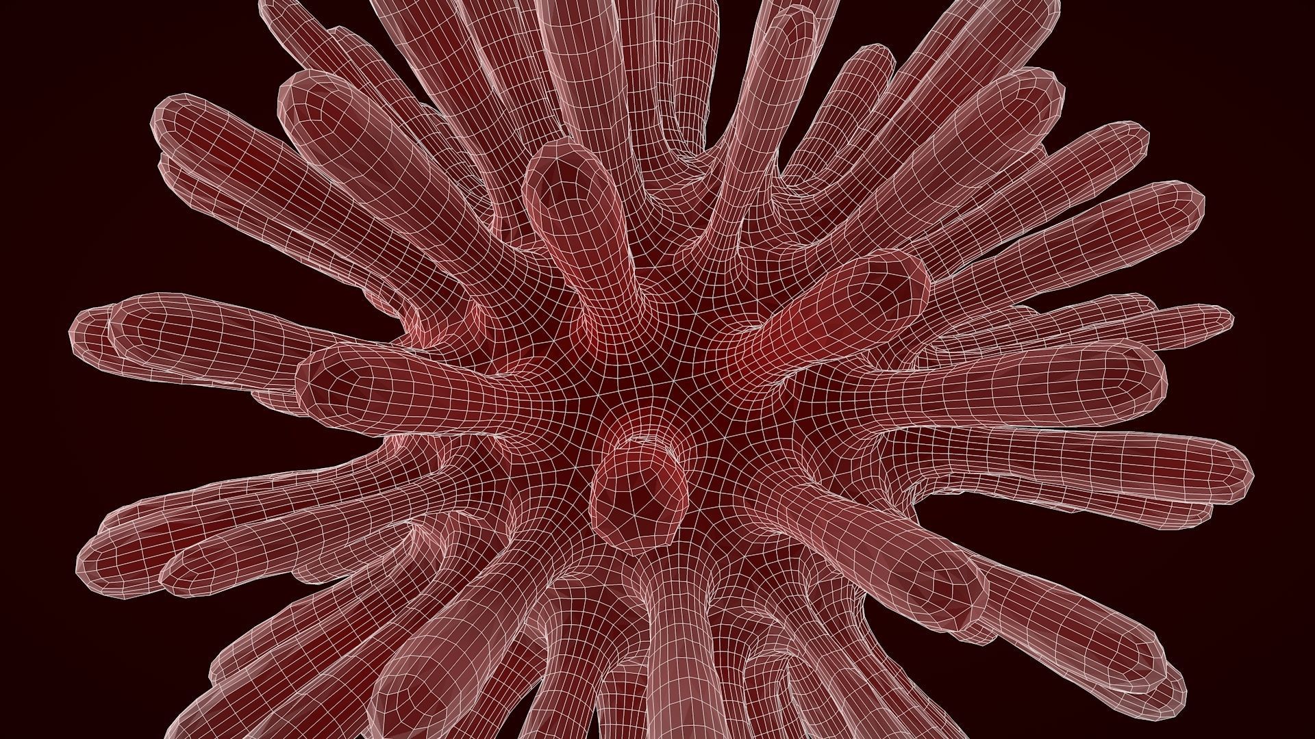 Virus 2 blood cell 3D model_7