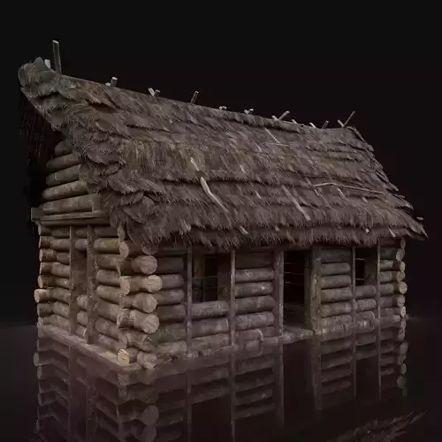AAA Next Gen Generic Thatched Log House Cottage Hut Low-poly 3D model