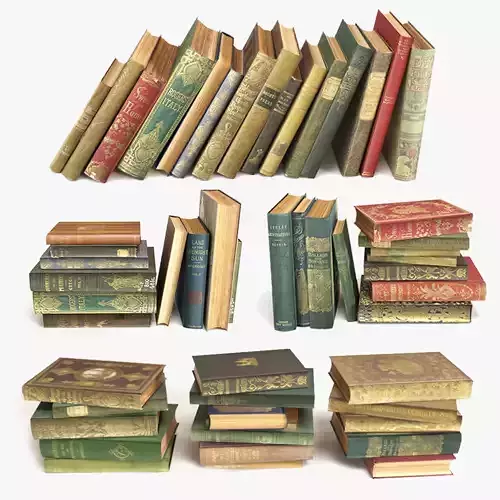 old books on a shelf set 2 3D model