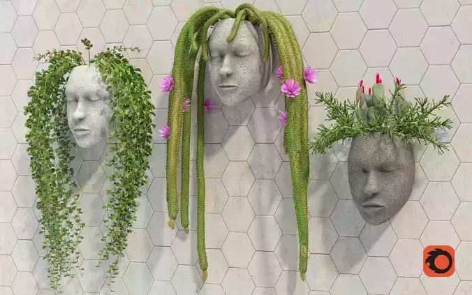 HeadPlanters set of three plant heads on wall