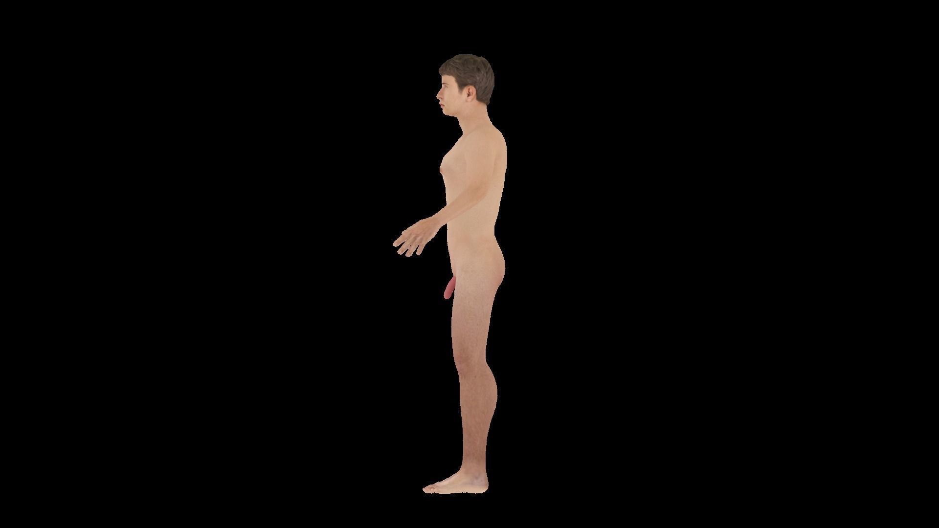 Model 4 nude male animation 3D model_3
