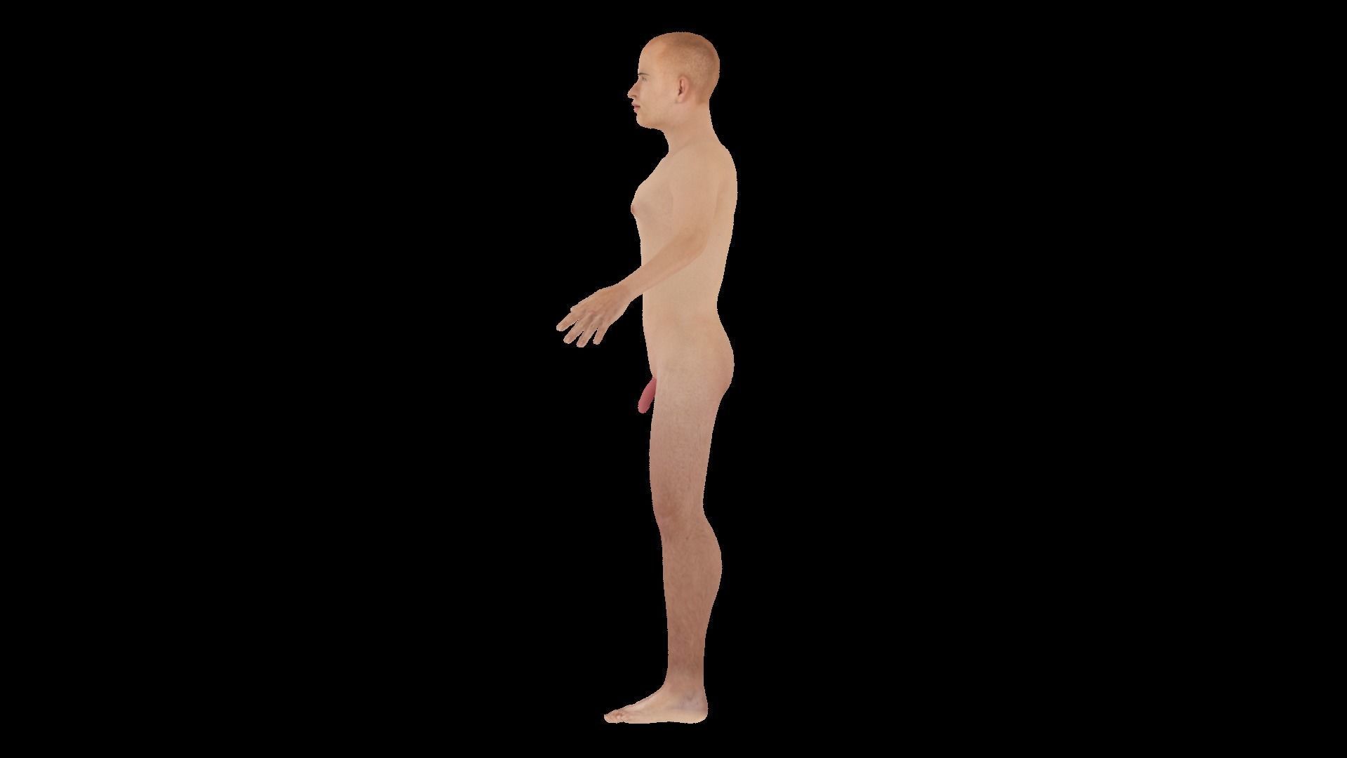 Model 12 male nude mannequin 3D model_3