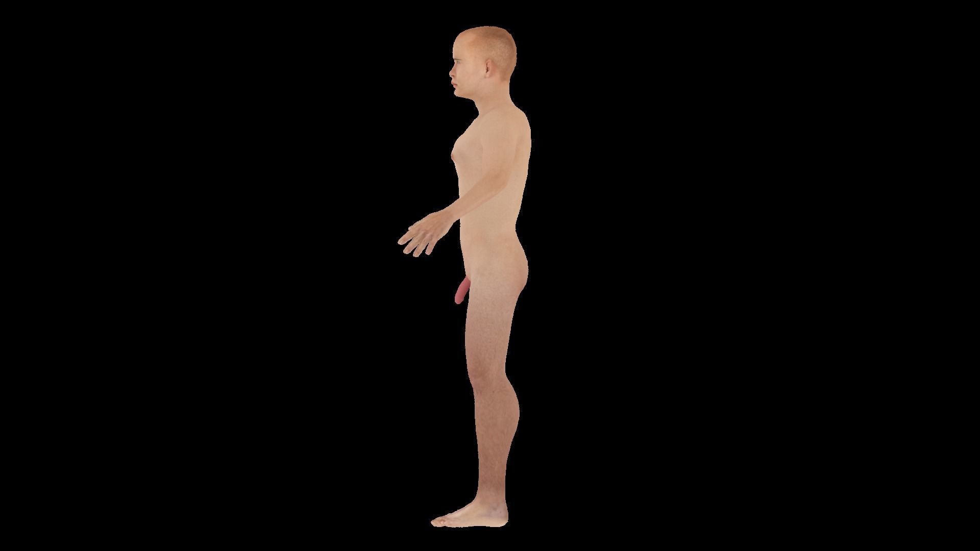 Model 16 male nude mannequin 3D model_3
