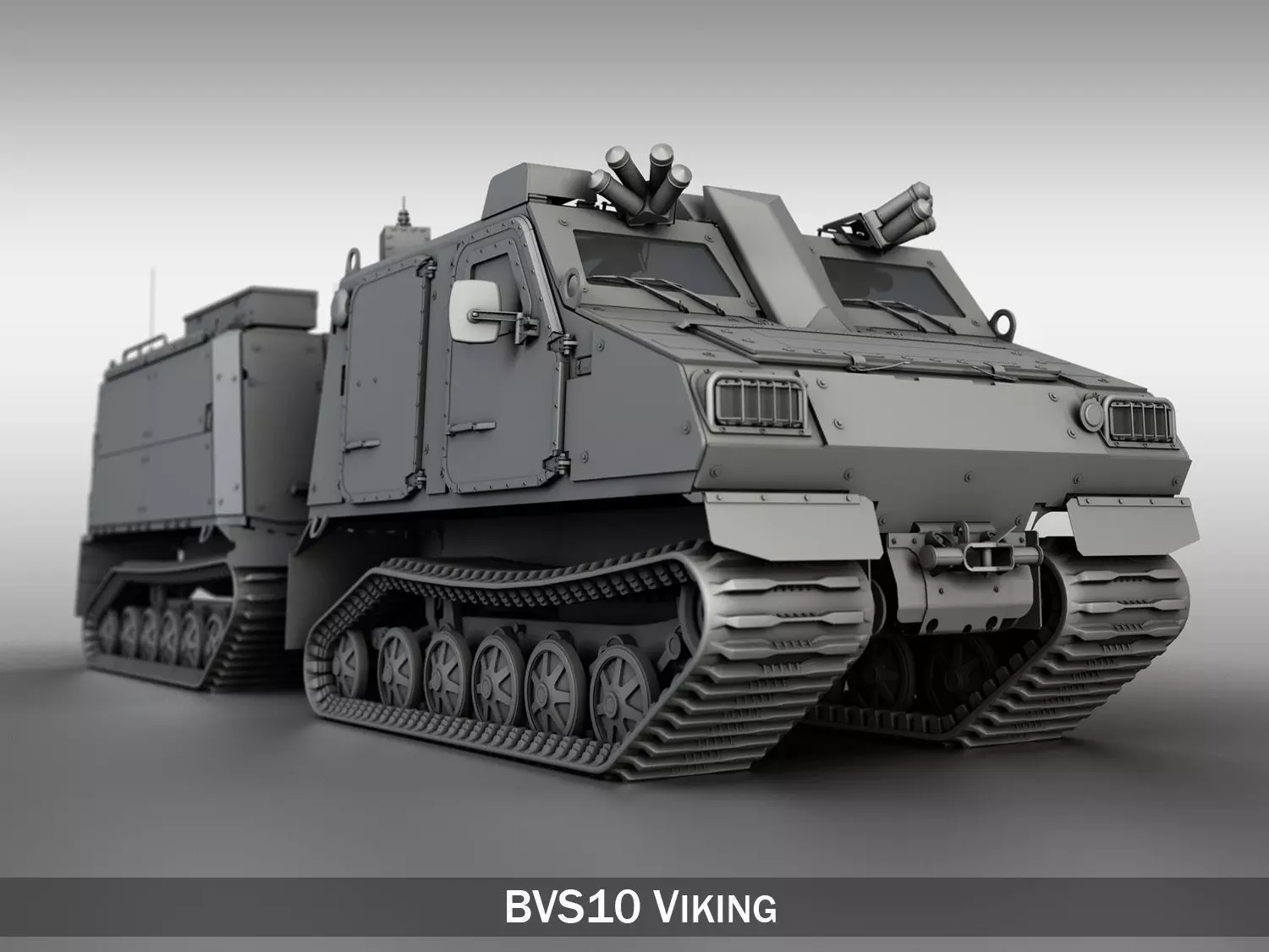 BVS10 Viking 3D model_0